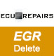 EGR Delete