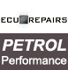 Petrol Performance Remap