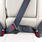 the Car Seat Belt